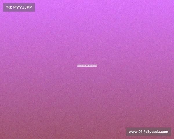 赛事运作的各个阶段的主要工作